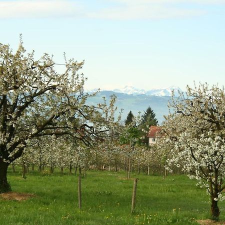 Villa Linke am Bodensee Nonnenhorn Exteriör bild